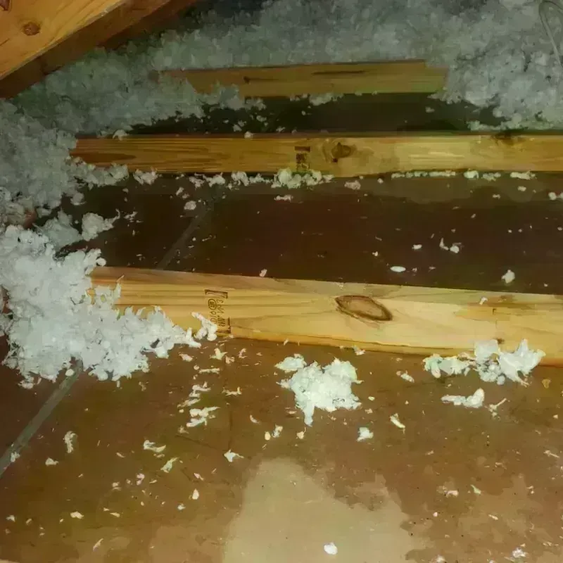 Attic Water Damage in Morrisonville, IL