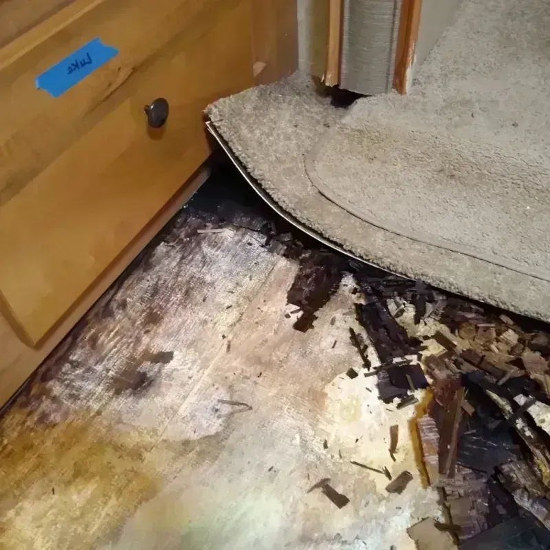 Best Wood Floor Water Damage Service in Morrisonville, IL